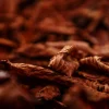 alessandro-crosato-G5fU1Uf2a-Q-unsplash (1)