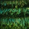 tim-stief-uNvDe5hz17U-unsplash